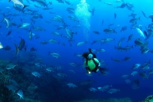 Azores Scuba Diving